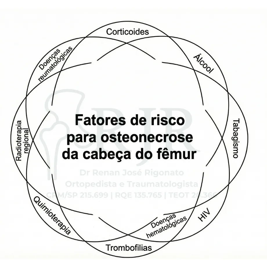 Imagens ilustrações textos (5)
