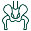 Osteonecrose