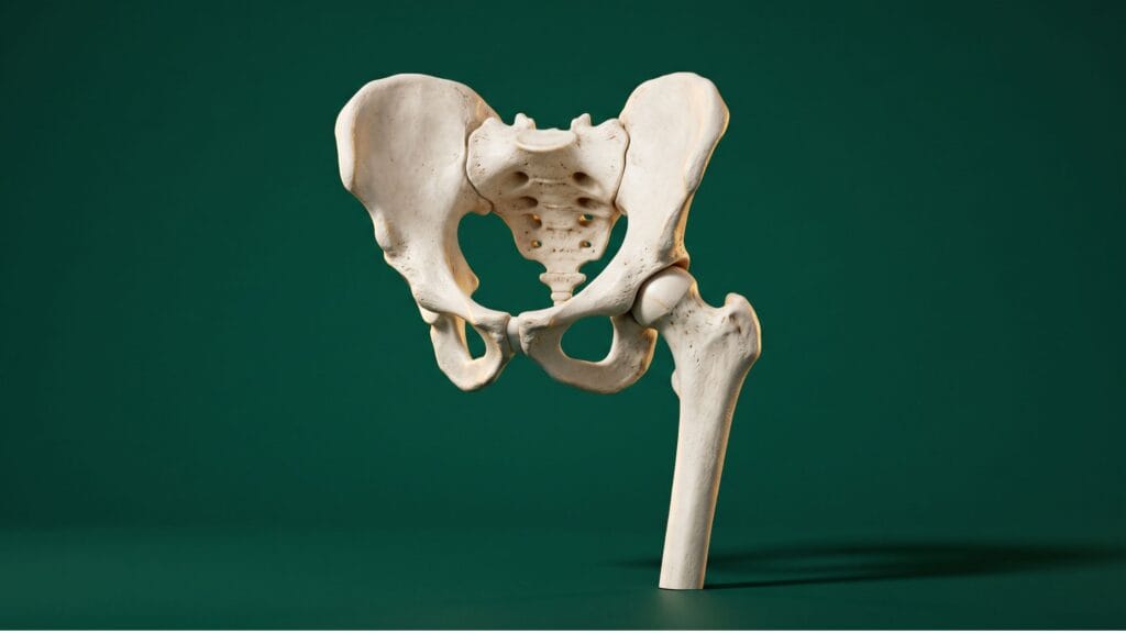 Modelo anatômico da articulação do quadril humano mostrando a pelve e o osso fêmur em fundo verde escuro, ilustrando as causas de dor no quadril.